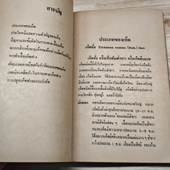 เห็ด อาหารทรงคุณค่า รูปที่ 7