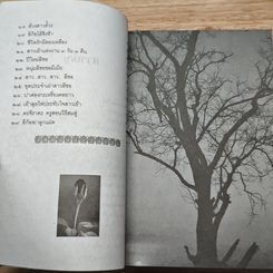 หนังสือ เสน่ห์สาวภูเขา รูปที่ 8