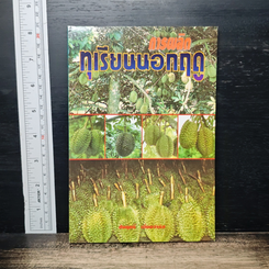 การผลิตทุเรียนนอกฤดู