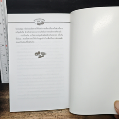 ผักปลอดภัยสารพิษ รูปที่ 9