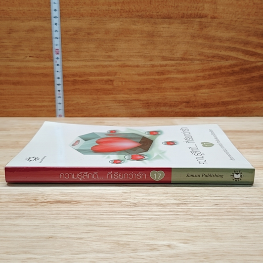 หนังสือ ความรู้สึกดี...ที่เรียกว่ารัก 17 รูปที่ 3