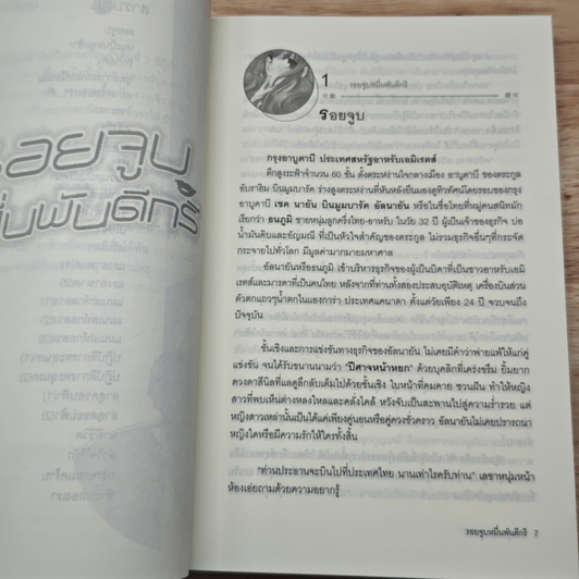รอยจูบหมื่นพันดีกรี รูปที่ 8