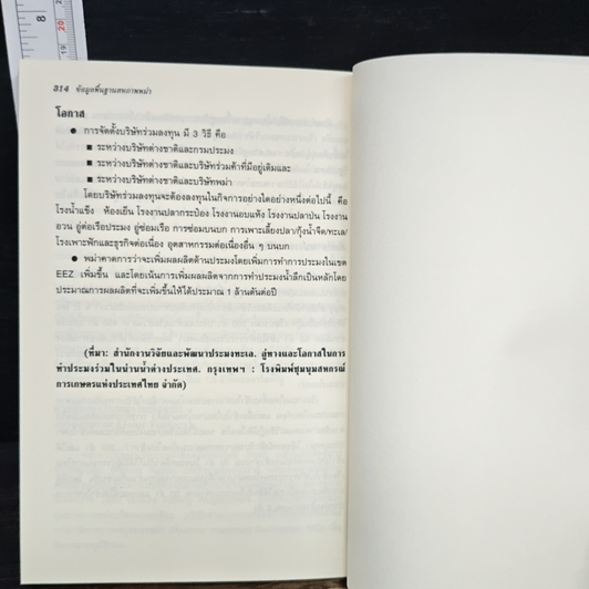 หนังสือ ข้อมูลพื้นฐาน สหภาพพม่า รูปที่ 11