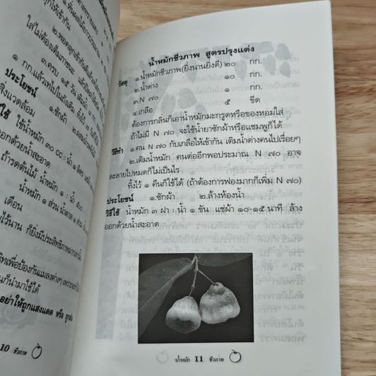 น้ำหมักชีวภาพ รูปที่ 7