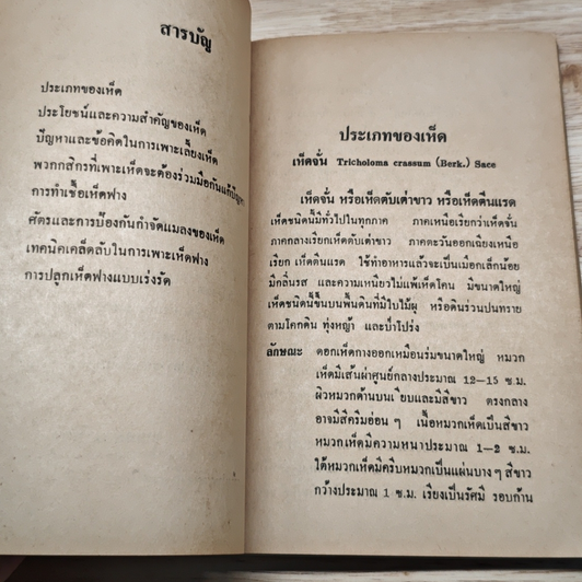 เห็ด อาหารทรงคุณค่า รูปที่ 7