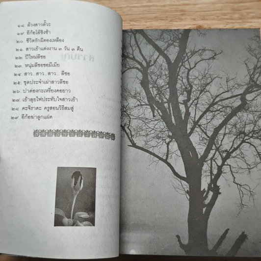 หนังสือ เสน่ห์สาวภูเขา รูปที่ 8