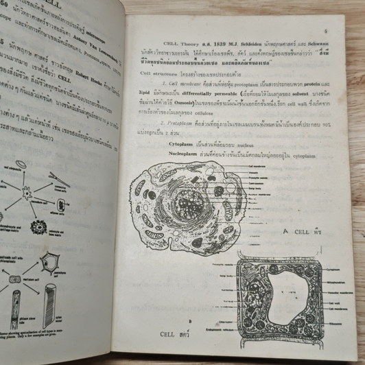 The Assembly of Biology รูปที่ 5