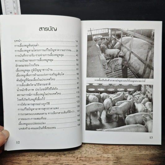 หมูหลุมดินชีวภาพ รูปที่ 7