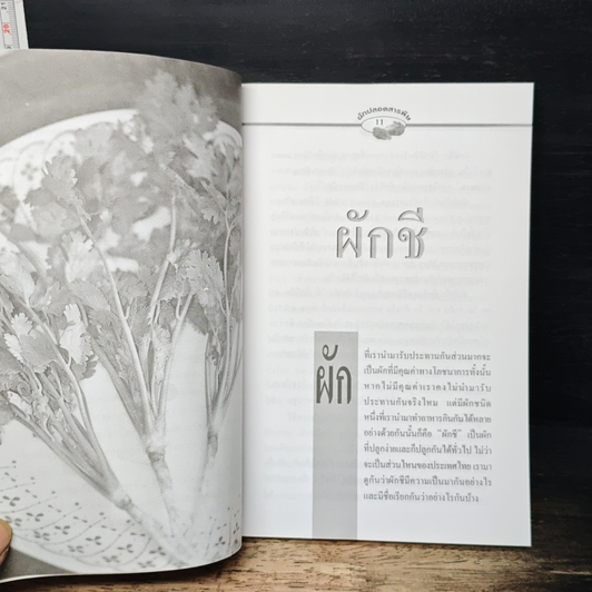 ผักปลอดภัยสารพิษ รูปที่ 8