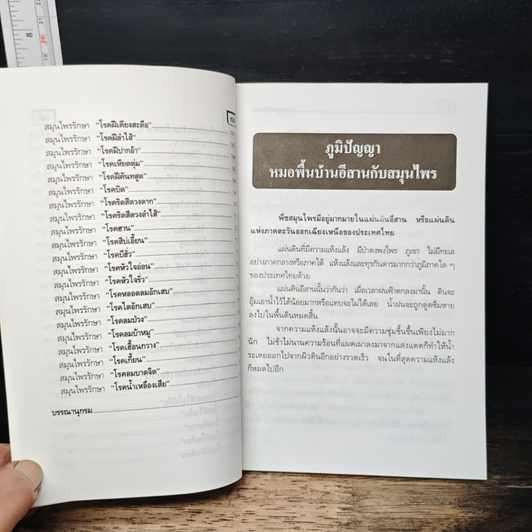 หมอดีอีสาน กับสมุนไพรพื้นบ้านรักษาโรคนานาชนิด รูปที่ 12