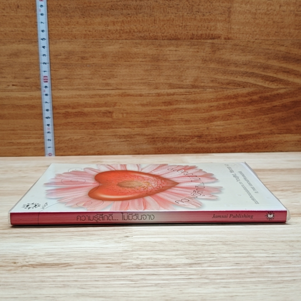 หนังสือ ความรู้สึกดี...ไม่มีวันจาง รูปที่ 3