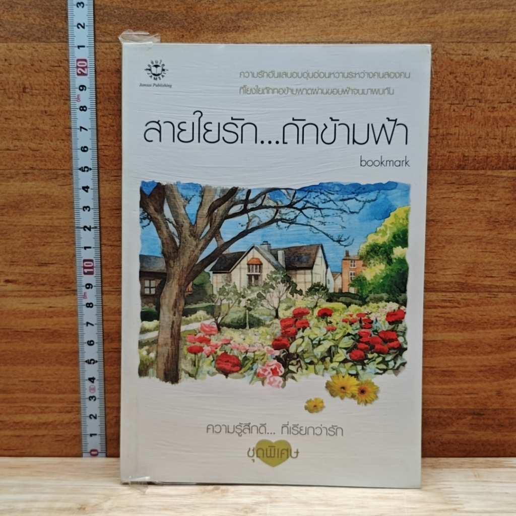 สายใยรัก...ถักข้ามฟ้า รูปที่ 1