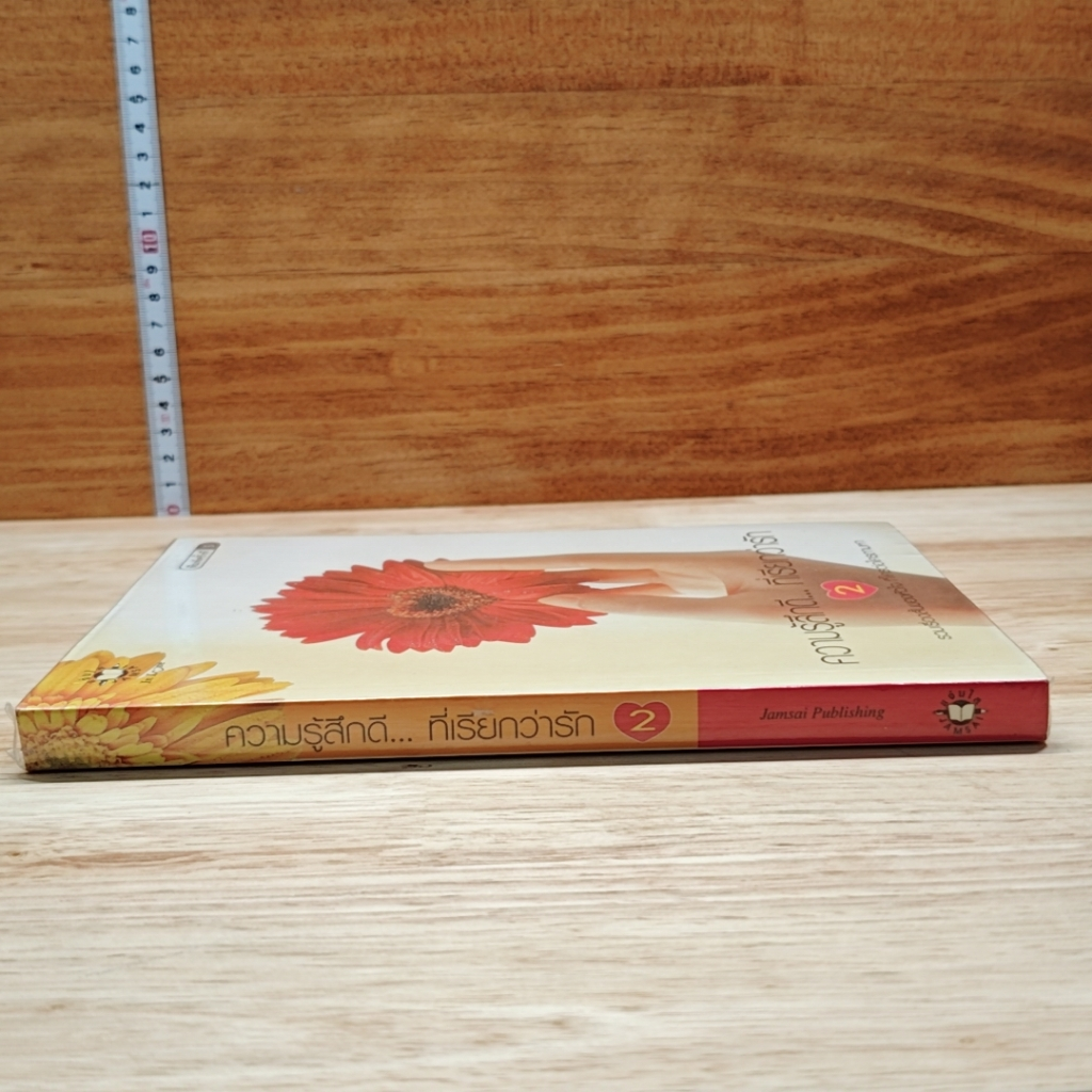 หนังสือ ความรู้สึกดี...ที่เรียกว่ารัก 2 รูปที่ 3