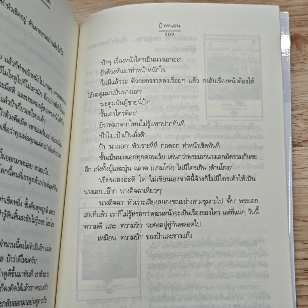 การผจญภัยของหัวใจเพชร รูปที่ 8
