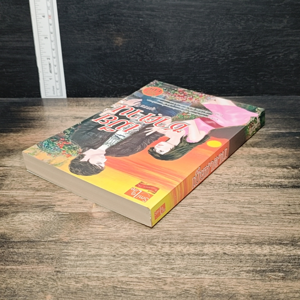 หนังสือ เมียซาตาน รูปที่ 5
