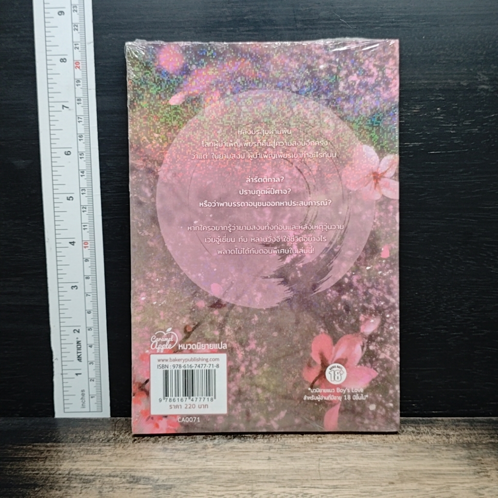 หนังสือ ปรมาจารย์ลัทธิมาร ตอนพิเศษ รูปที่ 2