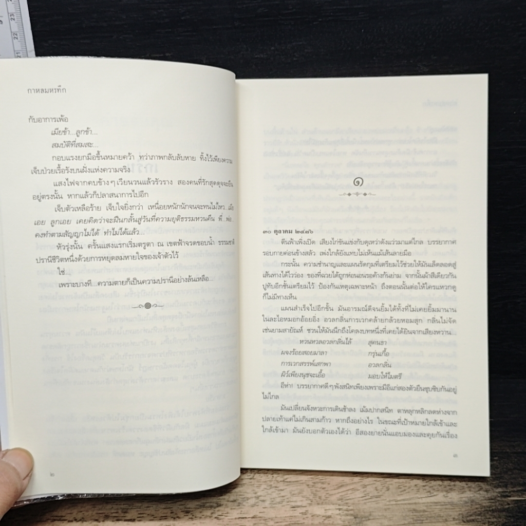 กาหลมหรทึก รูปที่ 6