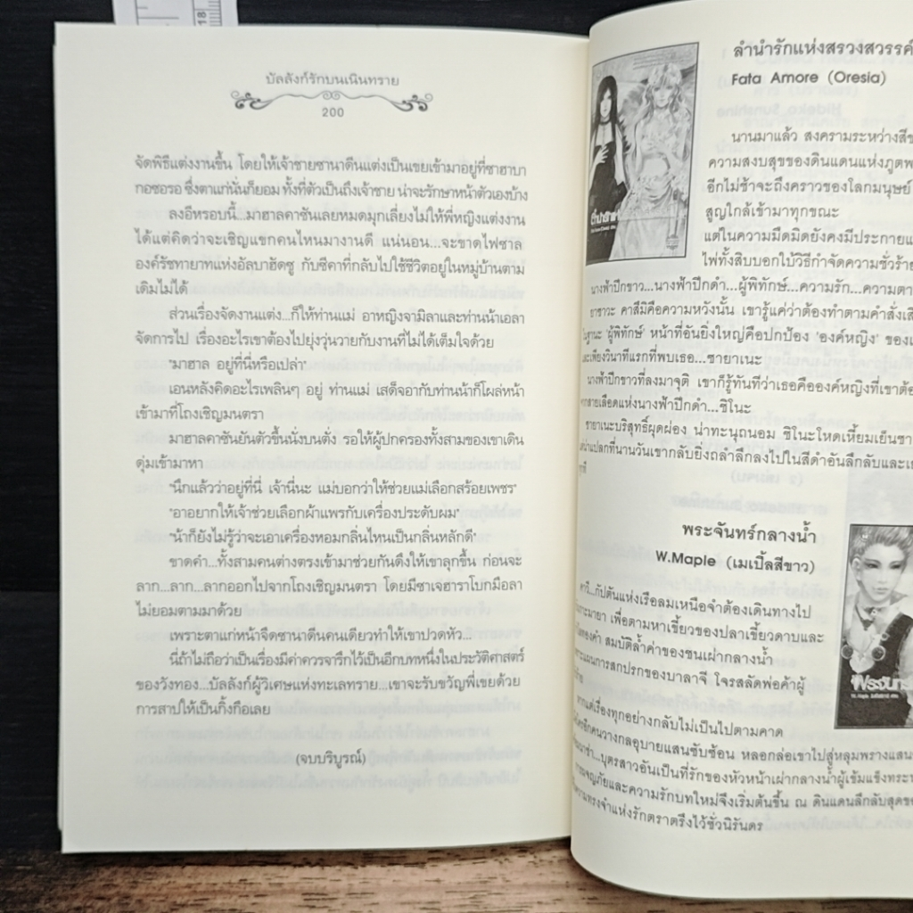 บัลลังก์รักบนเนินทราย รูปที่ 7
