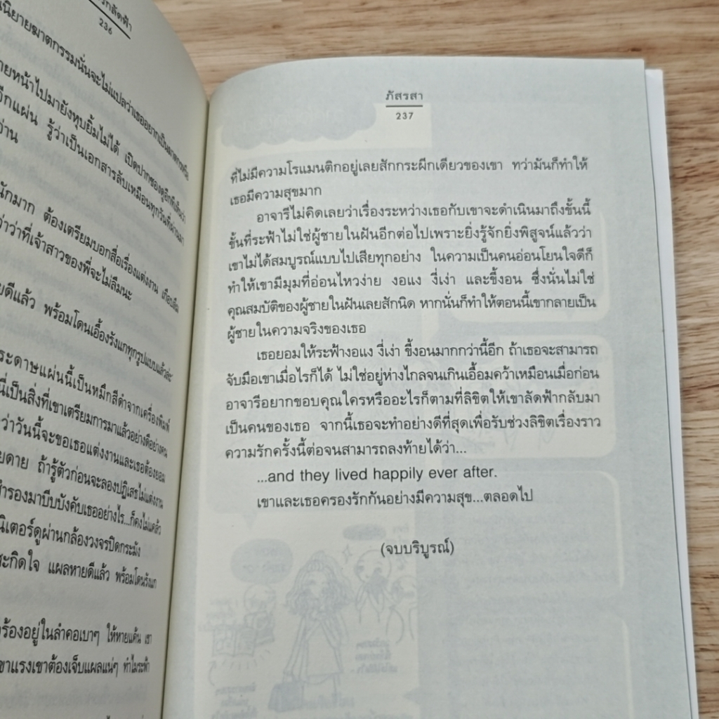 ลิขิตรักลัดฟ้า รูปที่ 8