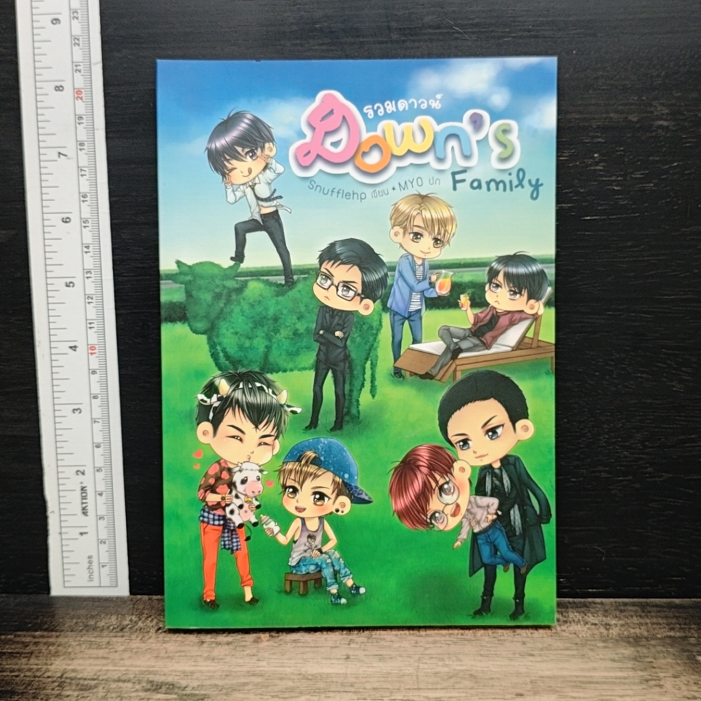 Down's Family รวมดาวน์ รูปที่ 1