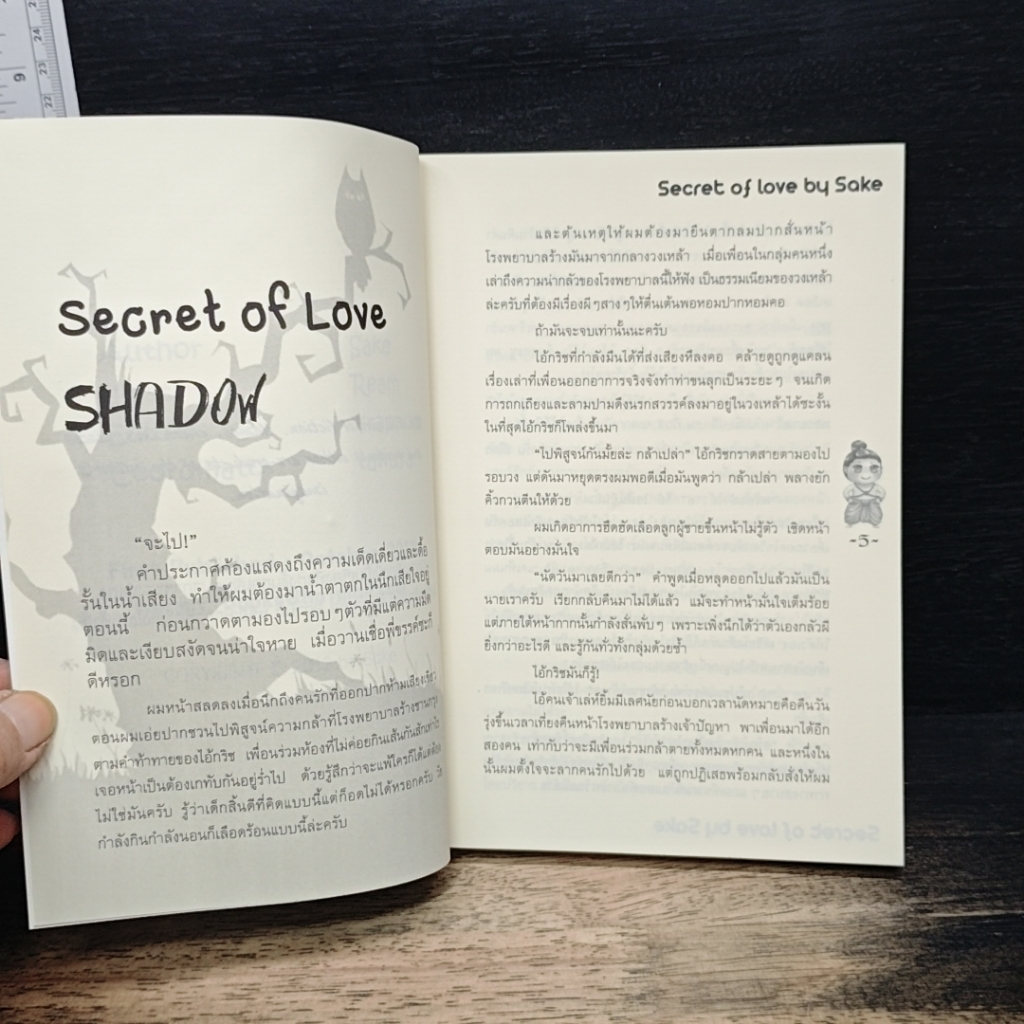 Secret Love รูปที่ 5