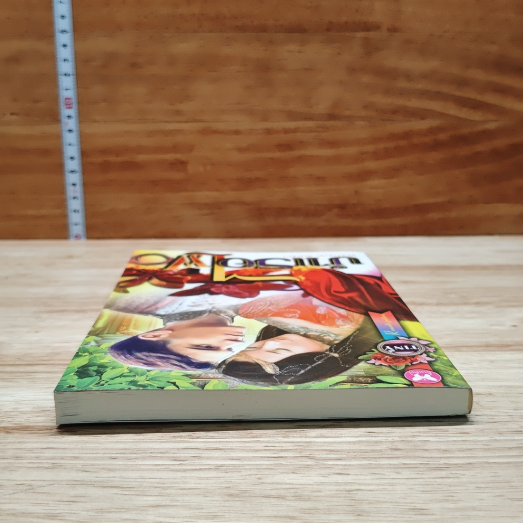 หนังสือ บำเรอไฟ รูปที่ 5