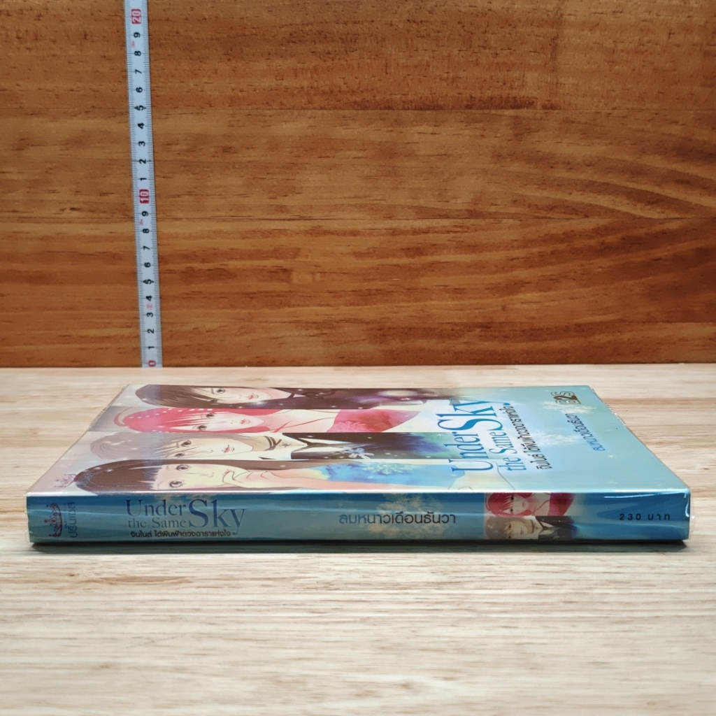 Under the Same Sky จินไนล์ ใต้ผืนฟ้าดวงดาราแห่งใจ รูปที่ 3