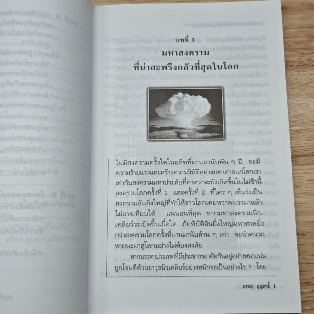 ทางรอดจากมหาสงครามนิวเคลียร์ในศตวรรษใหม่ รูปที่ 10