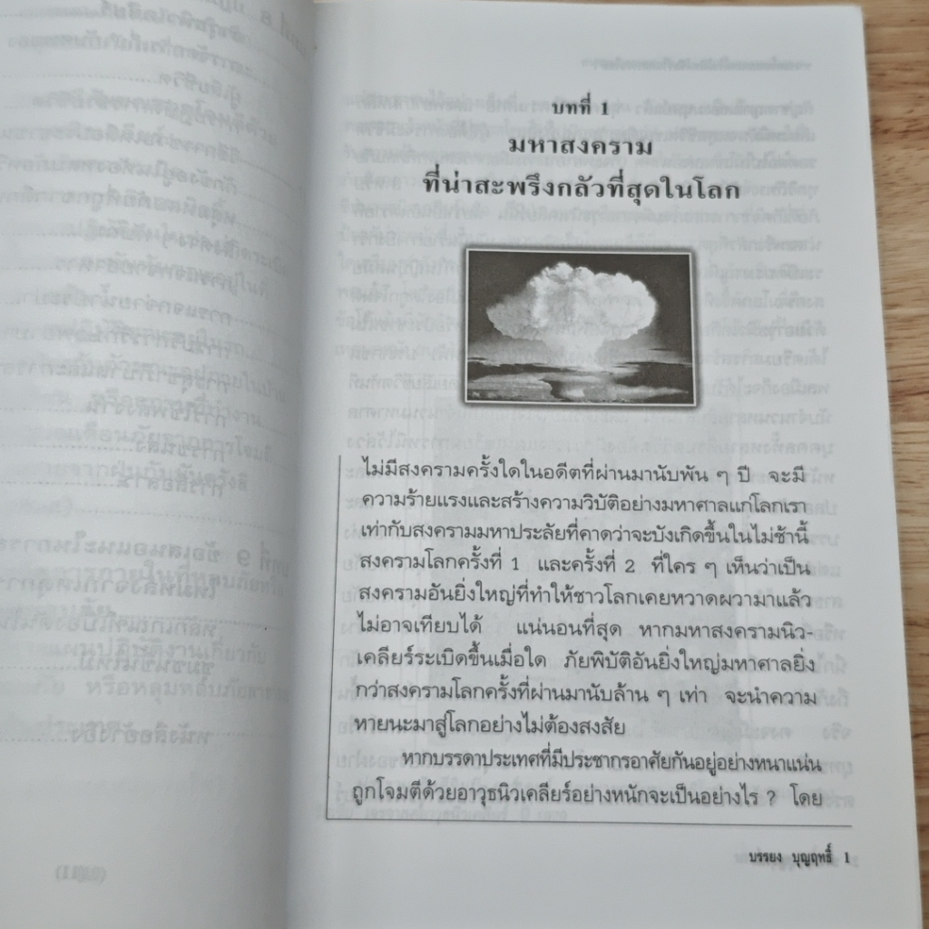 ทางรอดจากมหาสงครามนิวเคลียร์ในศตวรรษใหม่ รูปที่ 10