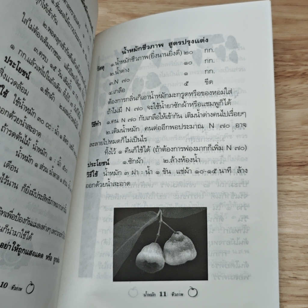 น้ำหมักชีวภาพ รูปที่ 7