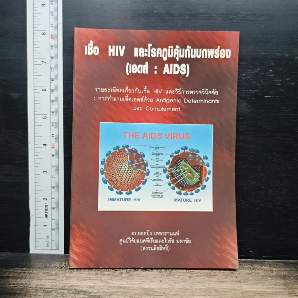 เชื้อ HIV และโรคภูมิคุ้มกันบกพร่อง (เอดส์ : AIDS) รูปที่ 1