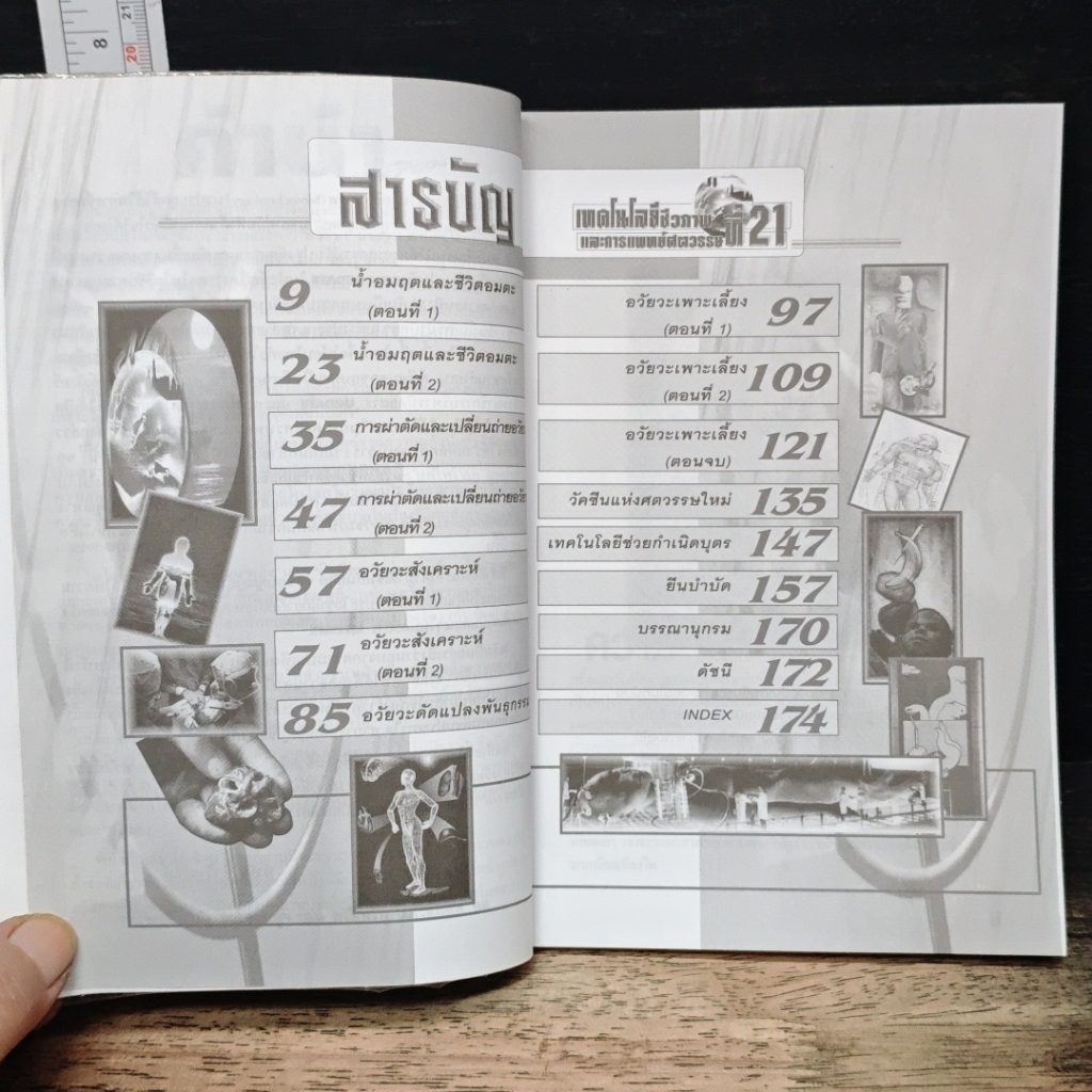 สู่ชีวิตอมตะ รูปที่ 7
