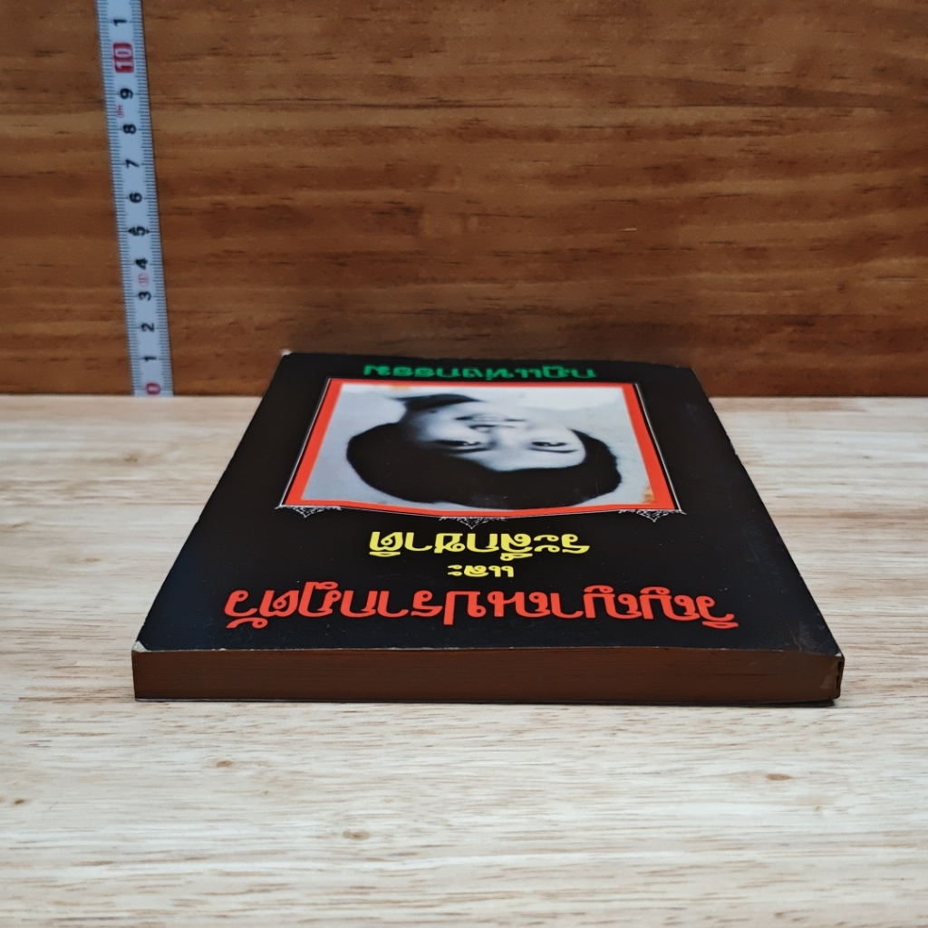 วิญญาณปรากฏตัวและระลึกชาติ รูปที่ 5
