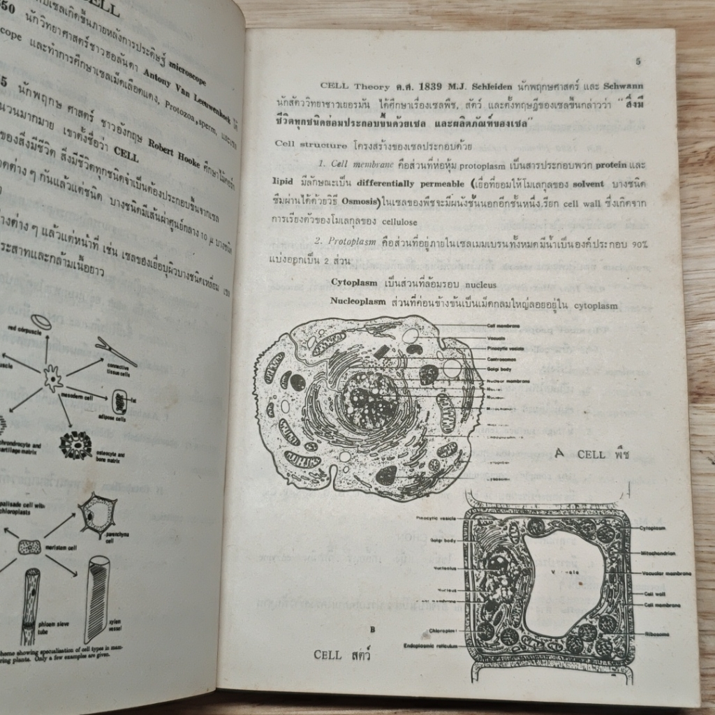 The Assembly of Biology รูปที่ 5