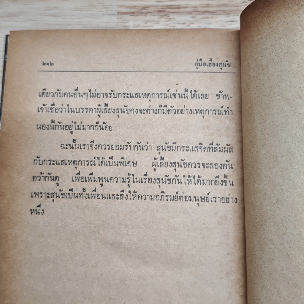 คู่มือเลี้ยงสุนัข รูปที่ 8