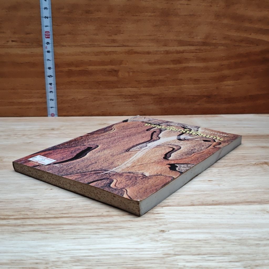 หนังสือ ถากเปลือกให้ถึงแก่น รูปที่ 4