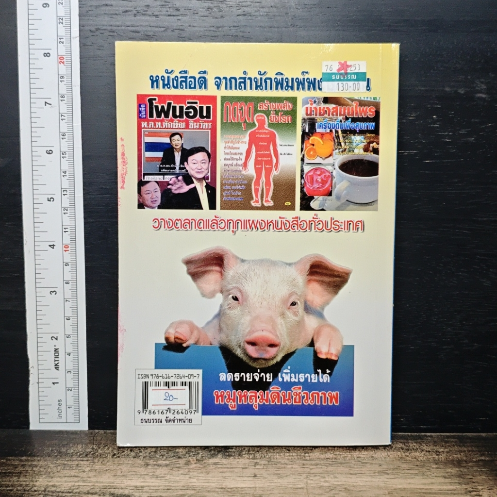 หมูหลุมดินชีวภาพ รูปที่ 2
