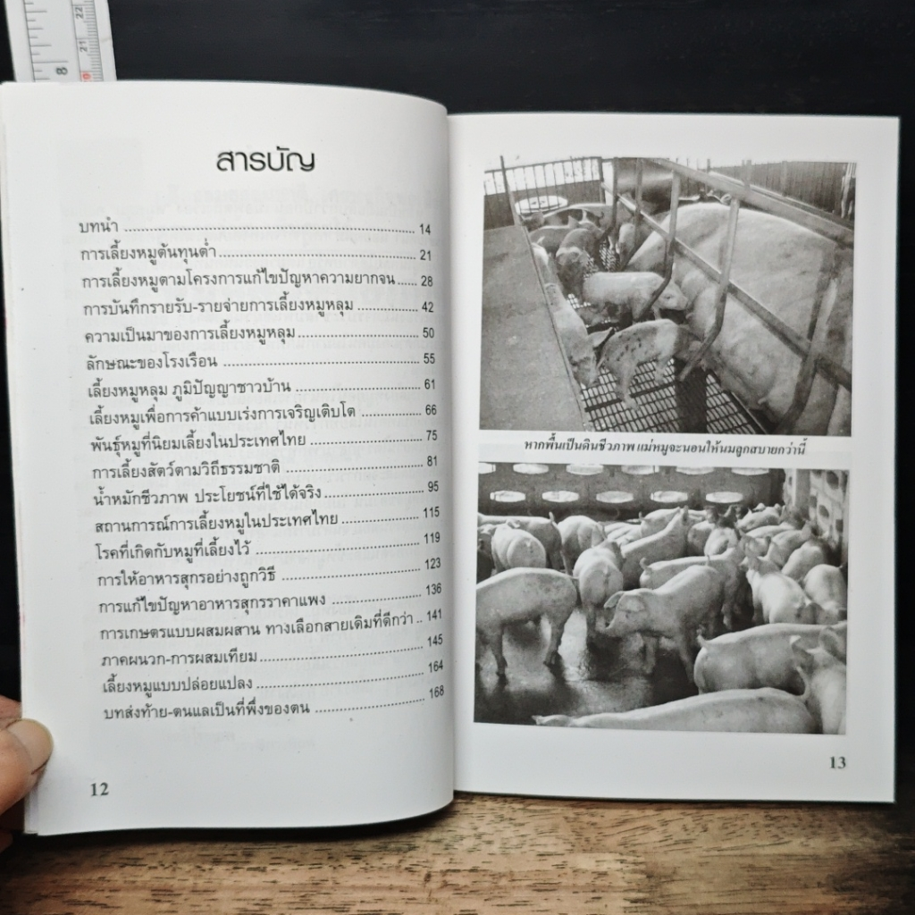 หมูหลุมดินชีวภาพ รูปที่ 7