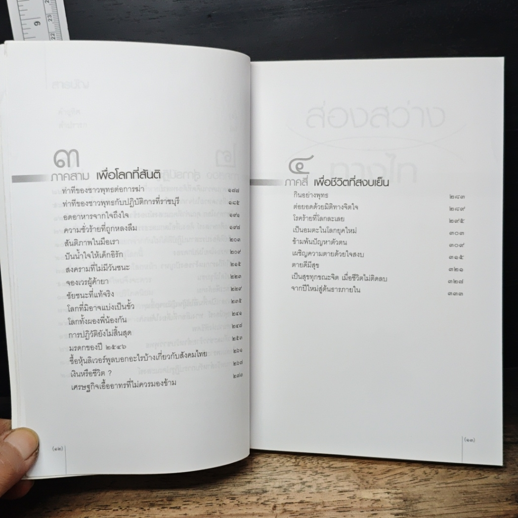 ส่องสว่างทางไท รูปที่ 8