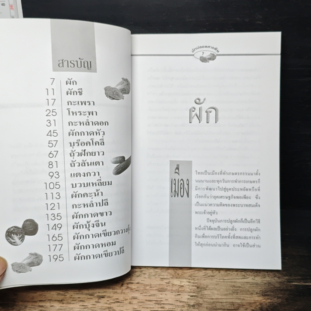 ผักปลอดภัยสารพิษ รูปที่ 7