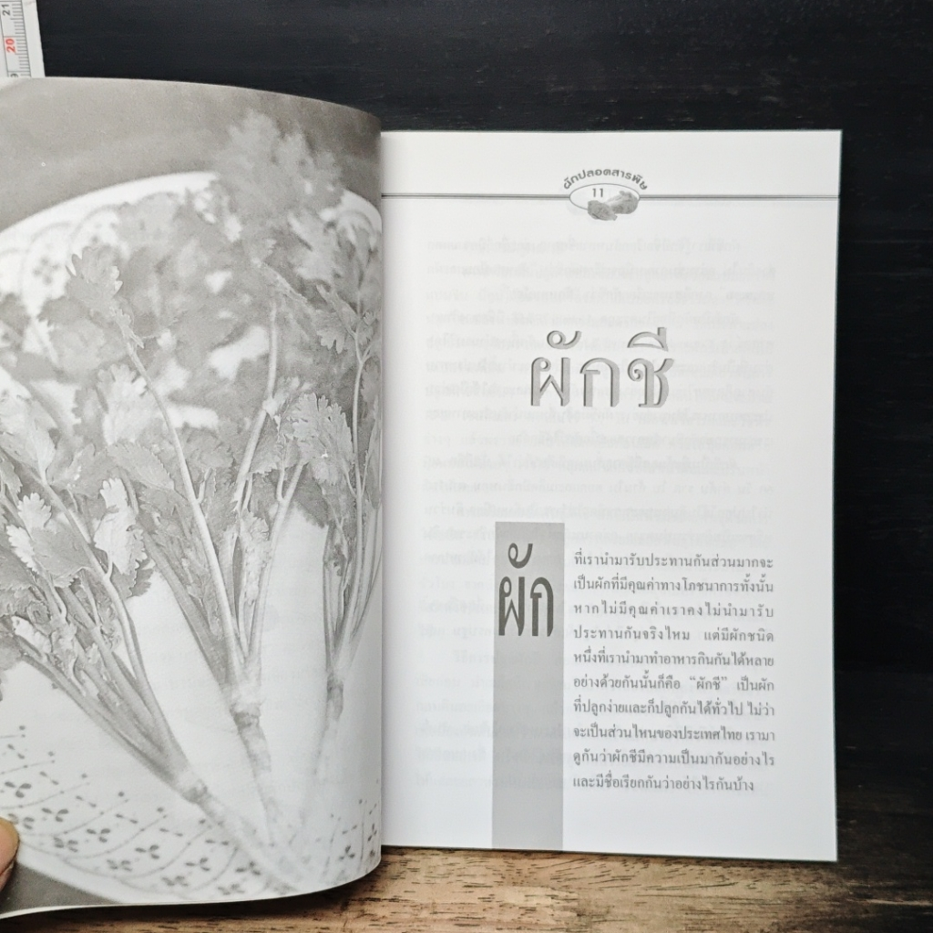 ผักปลอดภัยสารพิษ รูปที่ 8