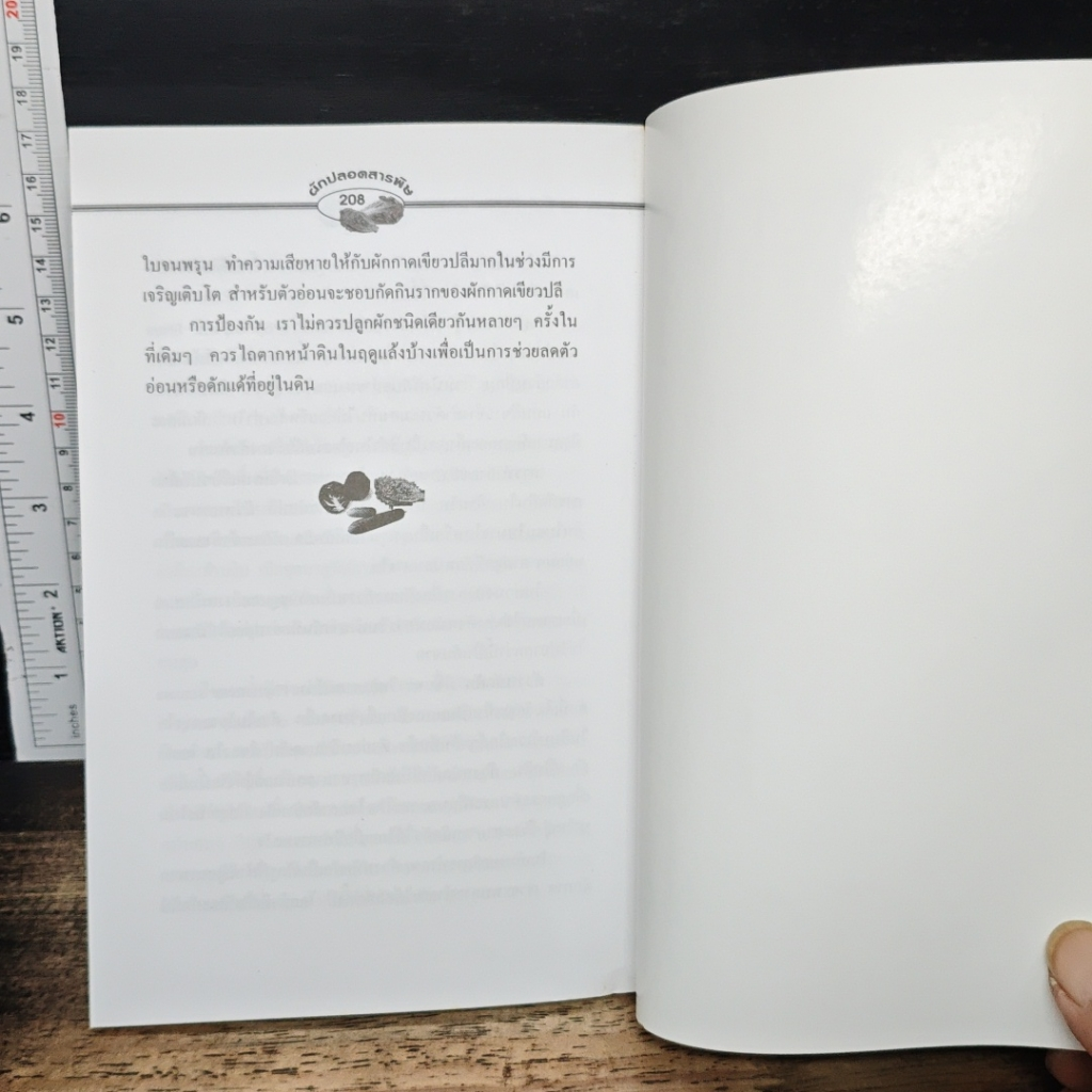 ผักปลอดภัยสารพิษ รูปที่ 9