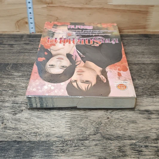 หนังสือ ม่านรักเสน่หา รูปที่ 4