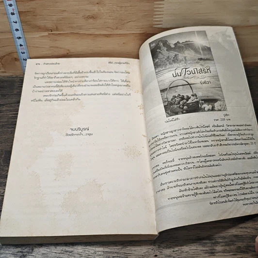 หนังสือ เจ้าสาวซ่อนร้าย รูปที่ 8