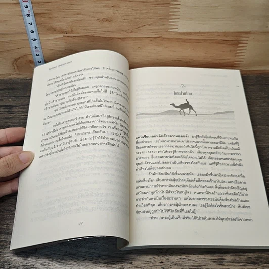 หนังสือ บัลลังก์รักพายุทราย รูปที่ 7