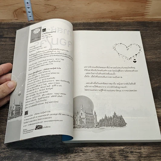 หนังสือ ทาสหัวใจจอมโจร รูปที่ 6