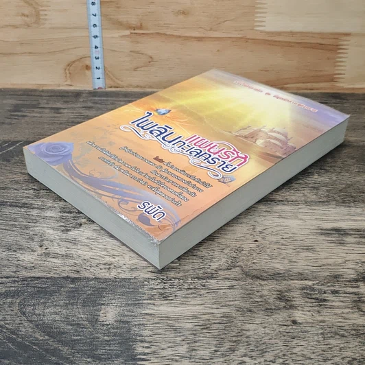 หนังสือ แผนรักไพลินทะเลทราย รูปที่ 3