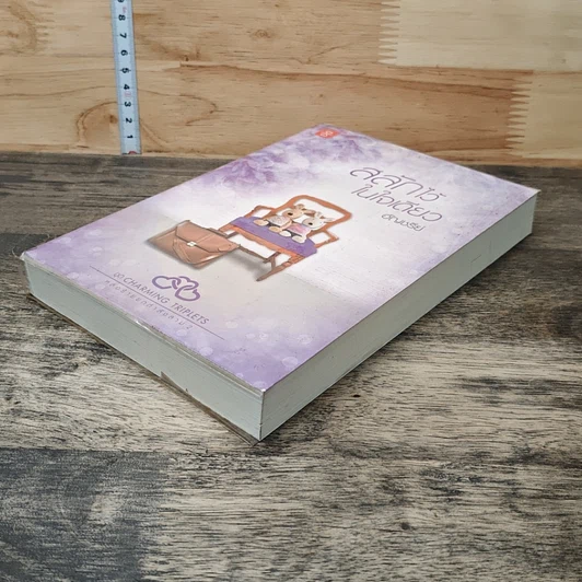 หนังสือ สลักไว้ในใจเดียว รูปที่ 3