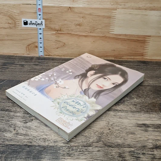 พิชิตใจองค์หญิงจำแลง รูปที่ 3
