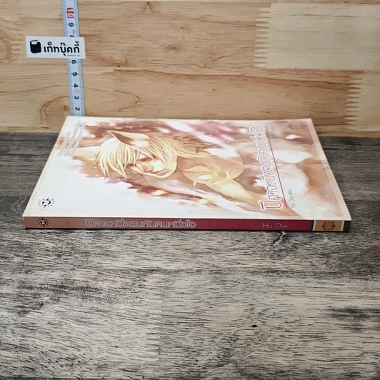 หนังสือ ปีศาจหนึ่งตนกับคนหนึ่งใจ รูปที่ 2